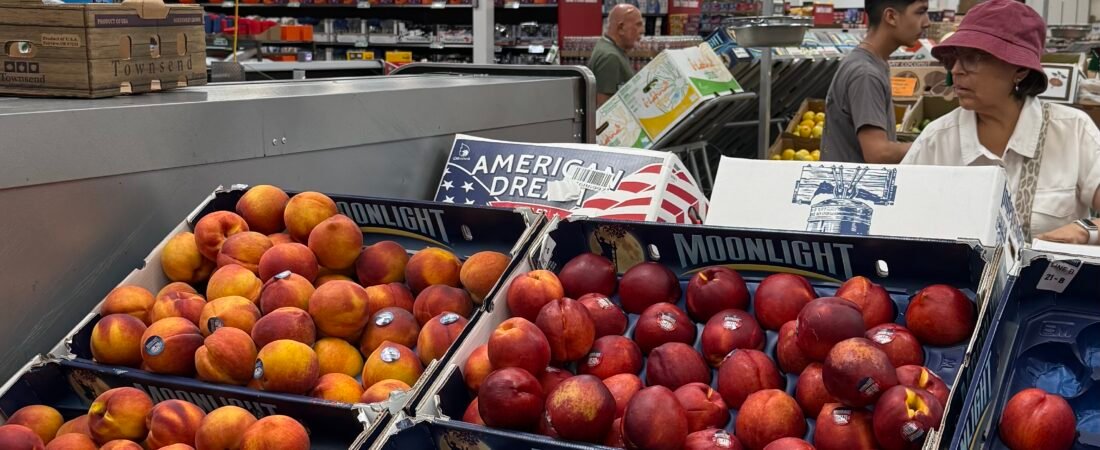 How I Cut Our Grocery Bill in Half During Summer Break: My WinCo Produce Review